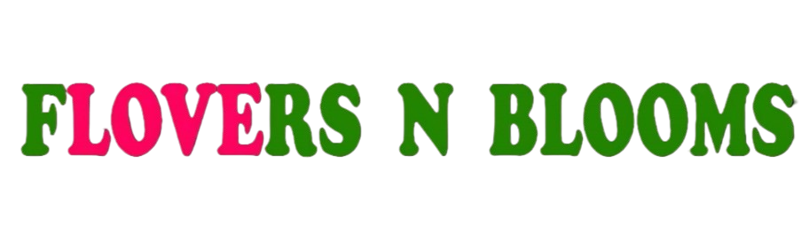 My Blog